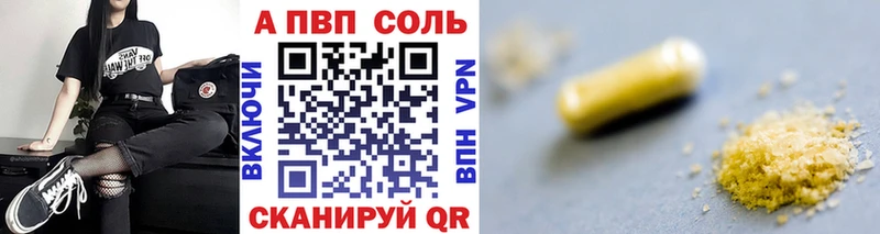 Альфа ПВП СК КРИС  Терек 