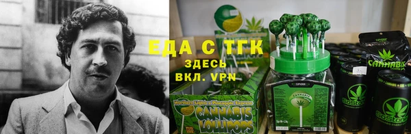 стафф Кулебаки