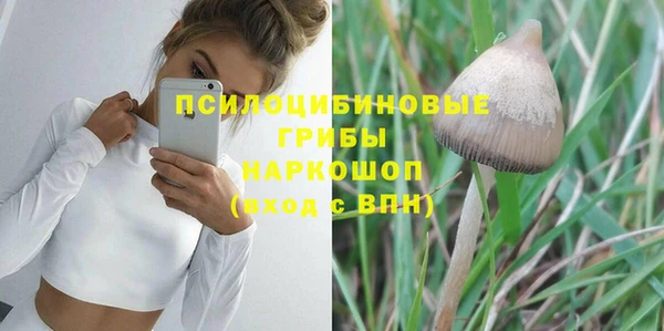 стафф Кулебаки