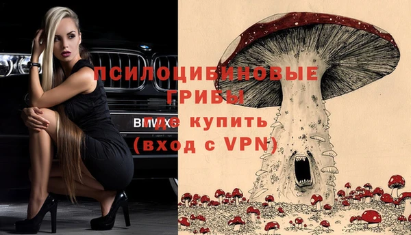 сатива Орск