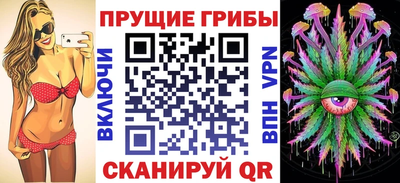 Псилоцибиновые грибы Cubensis  цена наркотик  Терек 
